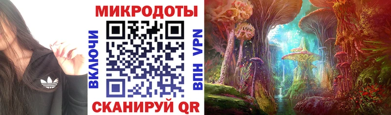 Псилоцибиновые грибы MAGIC MUSHROOMS  ОМГ ОМГ tor  Татарск 